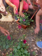 viber_slika_2024-06-04_16-43-43-429.jpg